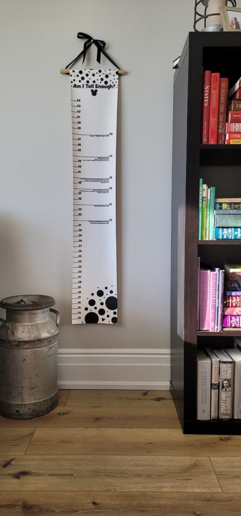 Four Tips to Get Accurate Measurements for the Rides at the Disney ...